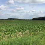 Status Kreuzfeld im Lichte der Olympiabewerbung