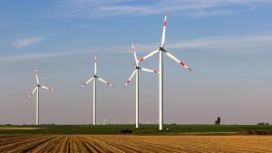 Grüne in Chorweiler bekennen sich zur Windkraft im Kölner Norden
