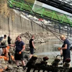 Rund 2.000 Flaschen am Kölner Rheinufer geborgen