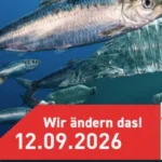 Worringen räumt auf: Gemeinsam für eine saubere Rheinaue